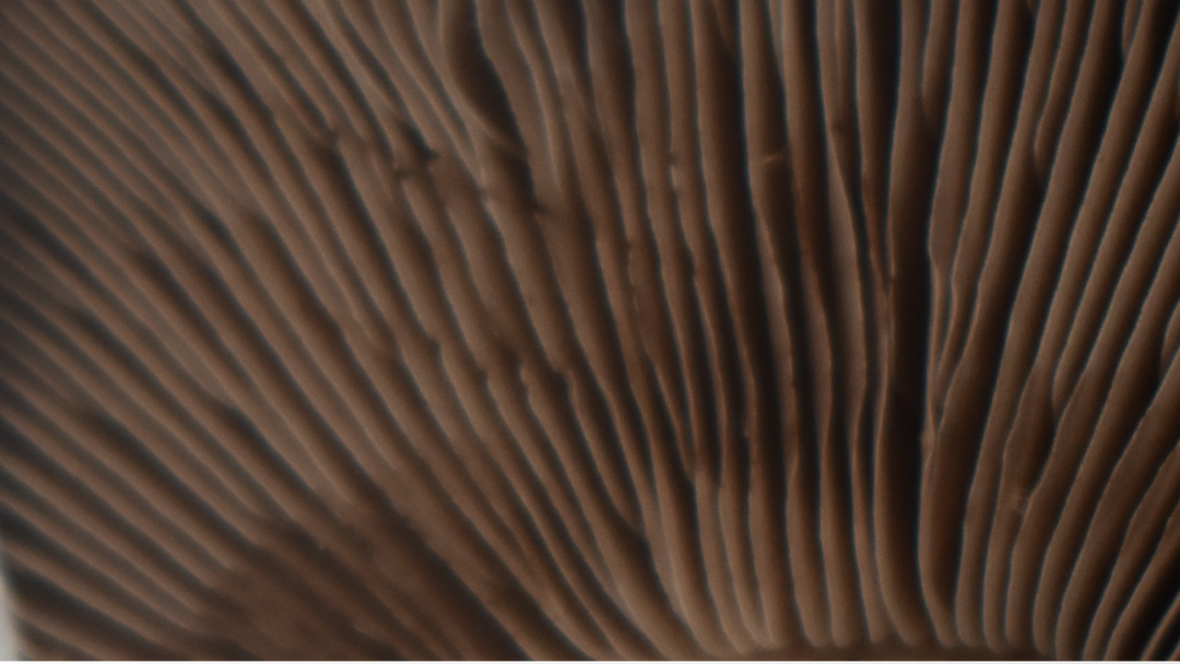 The New Luxury Is Real Skin